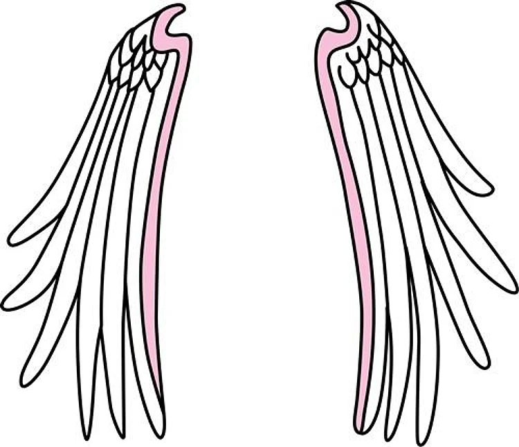 Angel Wings
