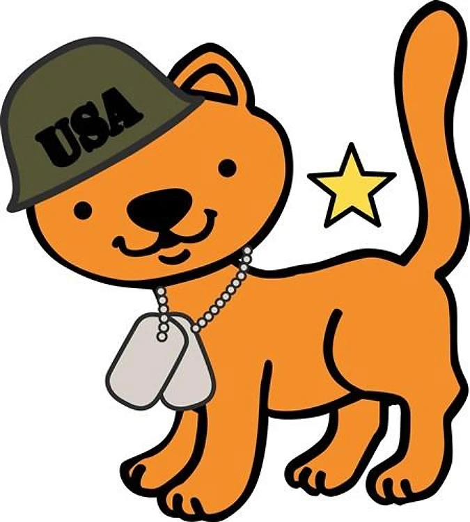 Military Cat
