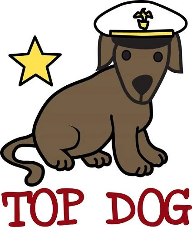 Top Dog