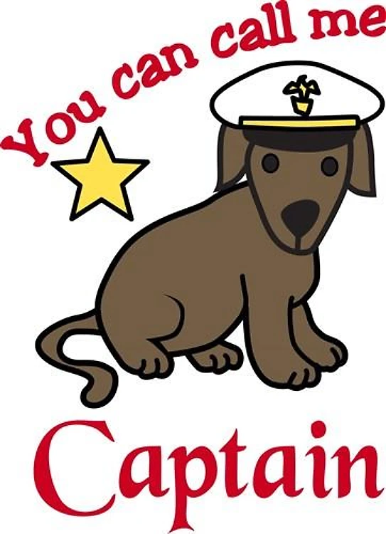Call Me Captain