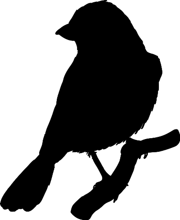 Silhouette Fowl