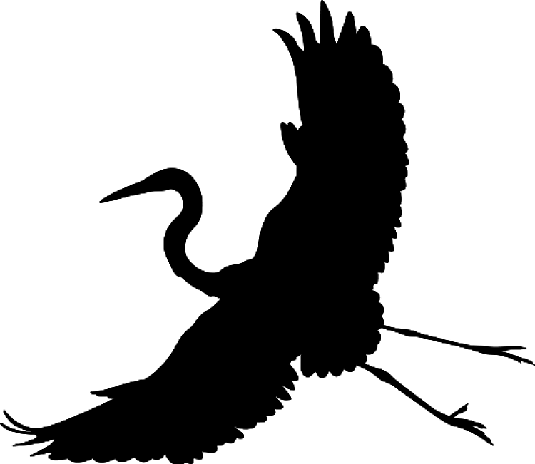 Stork Silhouette
