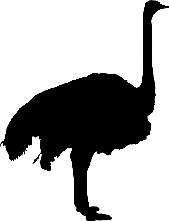 Silhouette Ostrich
