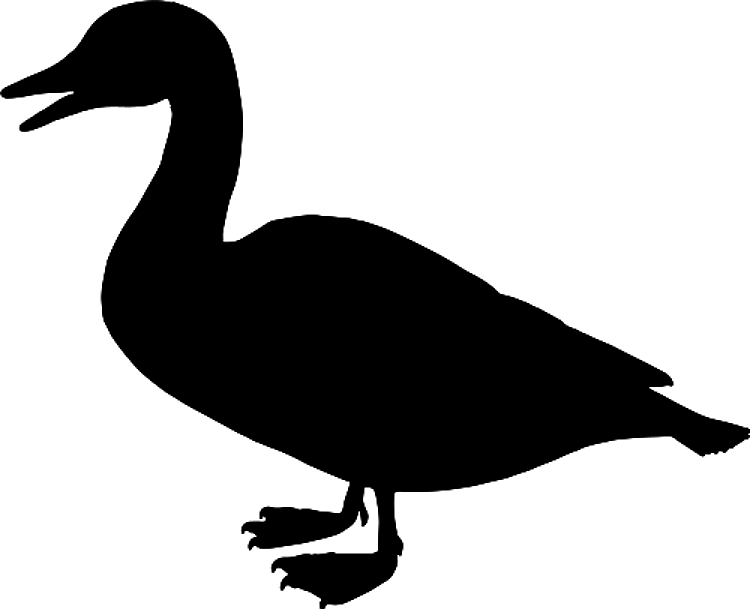 Duck Silhouette