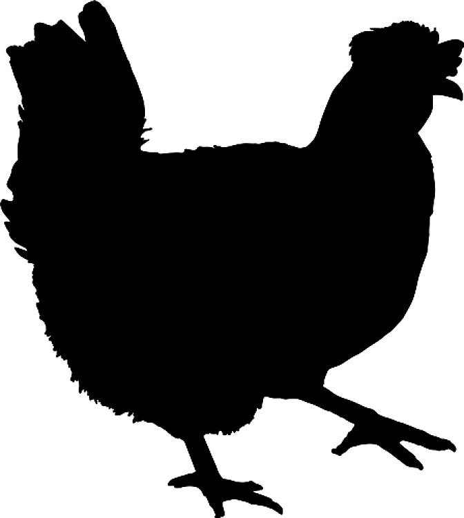 Silhouette Hen