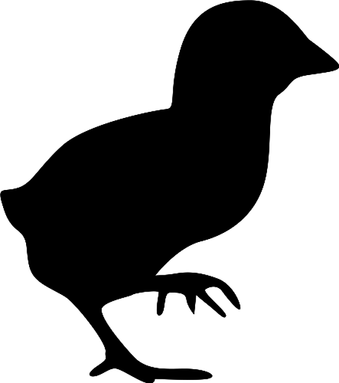 Silhouette Chick