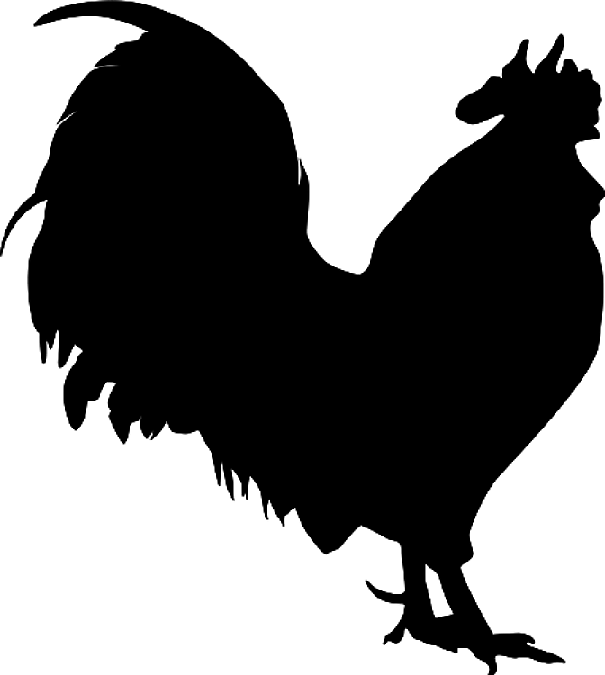 Silhouette Rooster