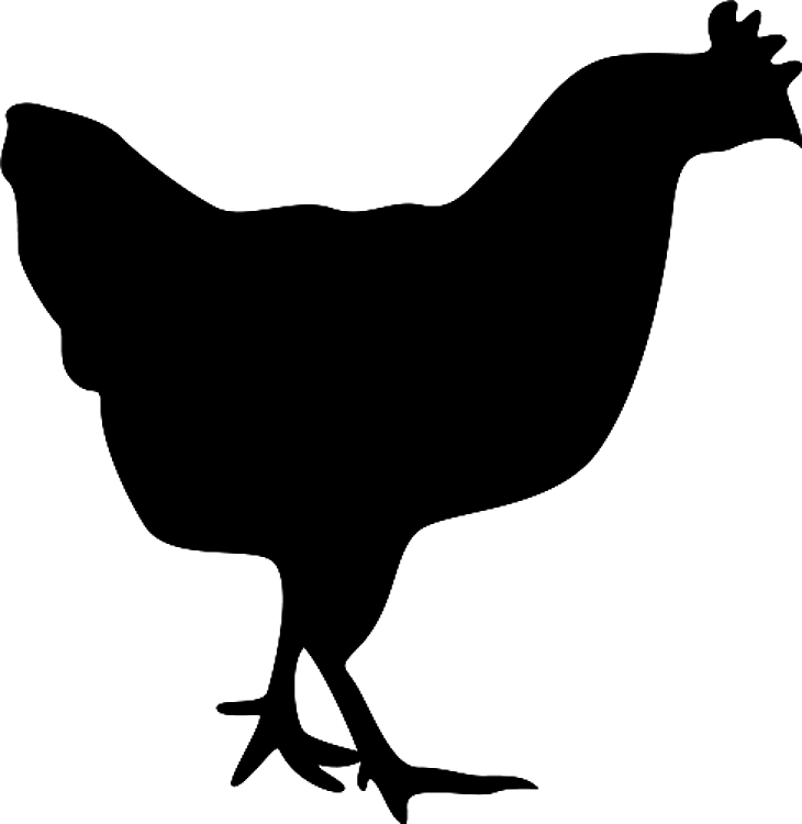 Hen Silhouette