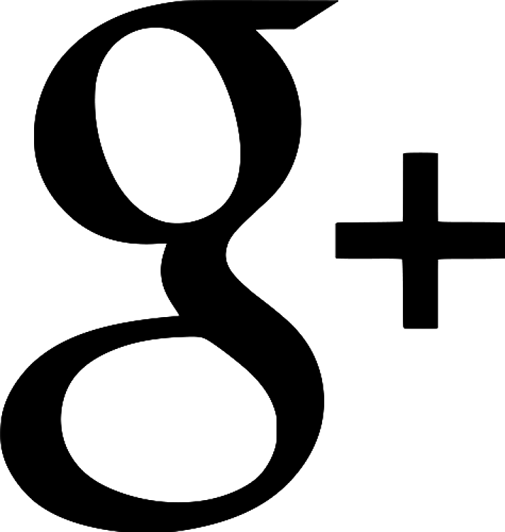 Google + Logo