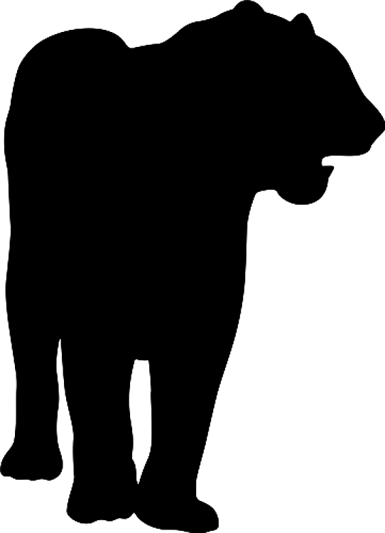 Tiger Silhouette