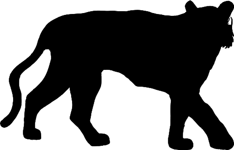 Silhouette Tiger