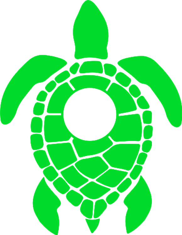 Turtle Frame