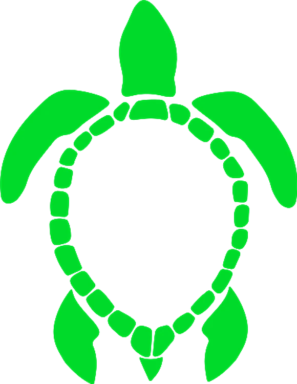 Frame Turtle