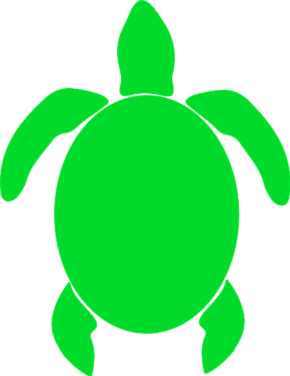 Silhouette Turtle