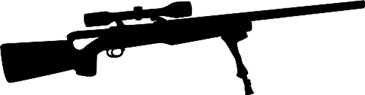 Silhouette Rifle