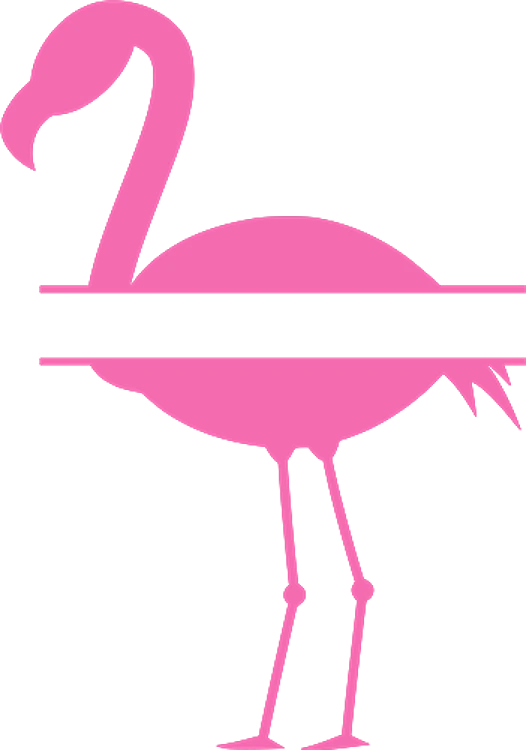 Flamingo Name Split
