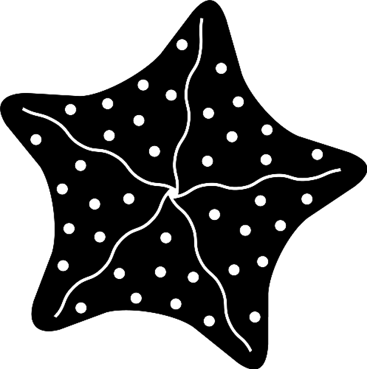 Starfish Silhouette