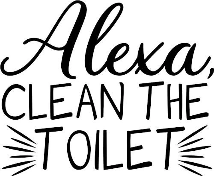 Alexa Clean The Toilet