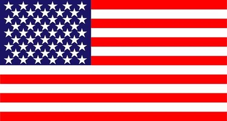 2 Color Flag