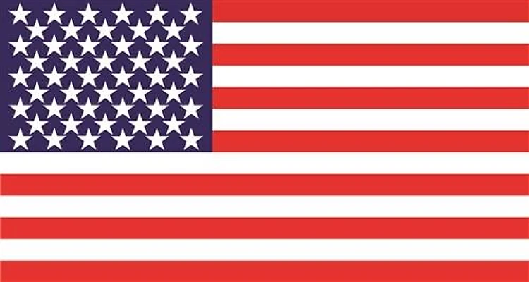 3 Color Flag