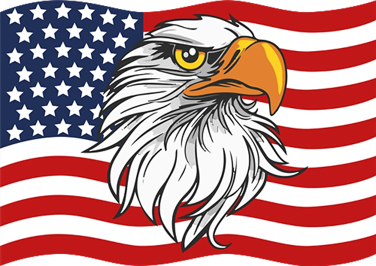 American Flag & Eagle