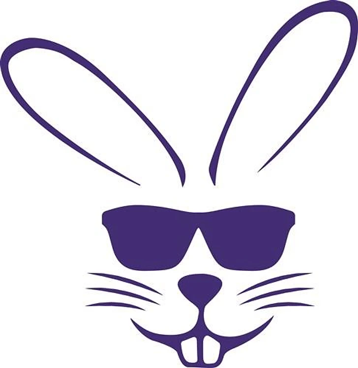 Sunglasses Bunny