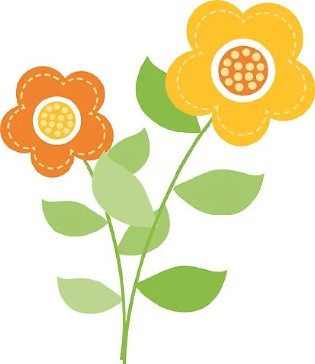 Daisy Flowers