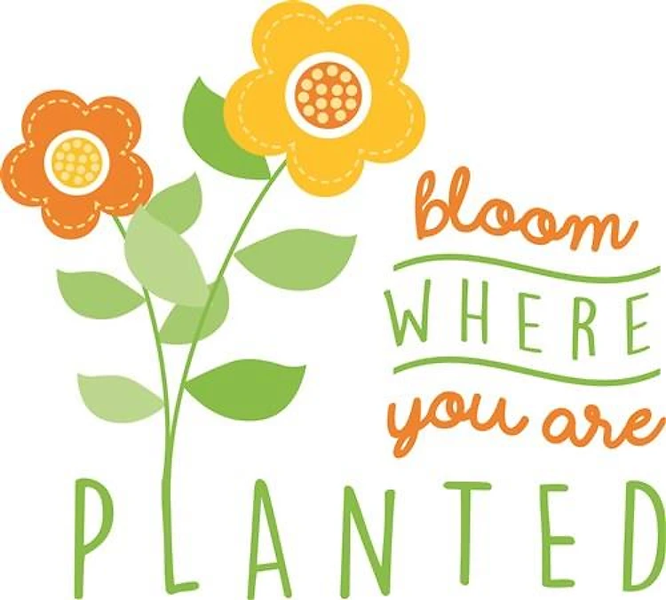 Bloom Where Planted