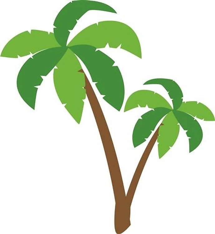 Palm Tree