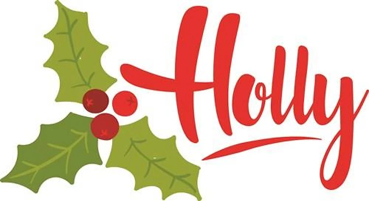 Holly Plant