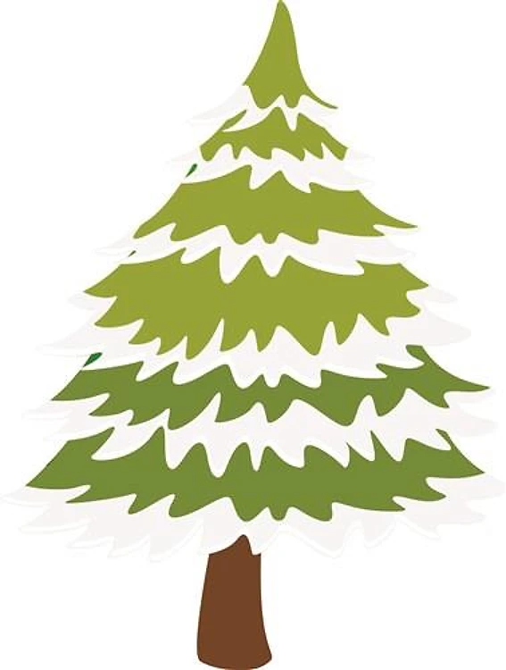 Pine Tree