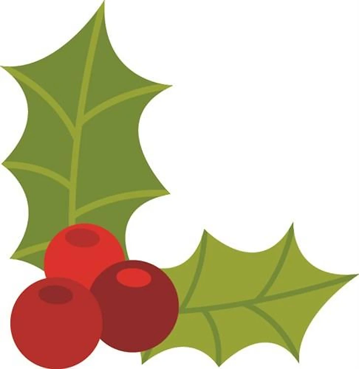 Holly Berries