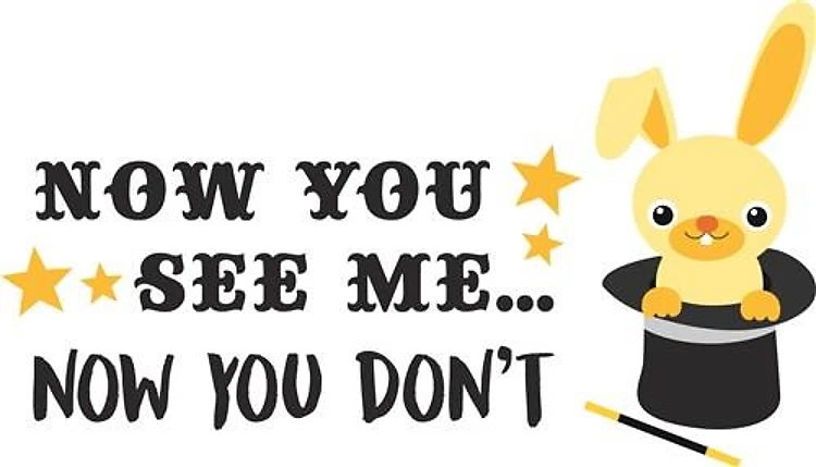 Now You Dont