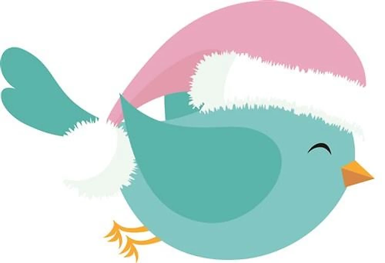 Christmas Bird