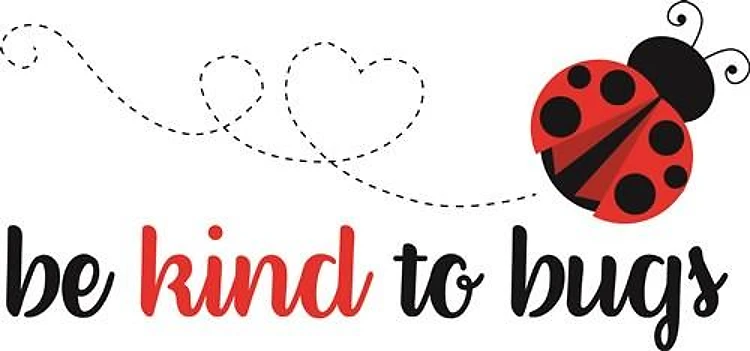 Kind To Bugs