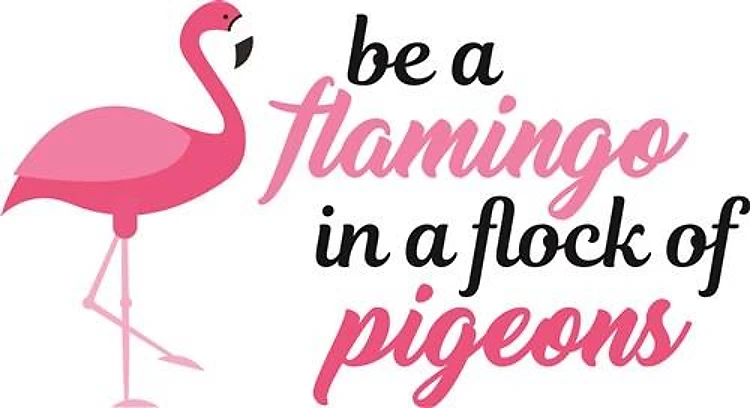 Be A Flamingo