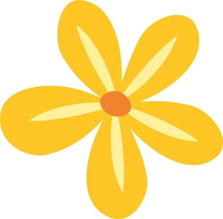 Flower Bloom