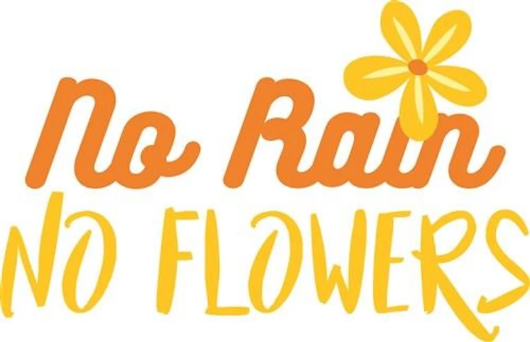 No Rain No Flowers