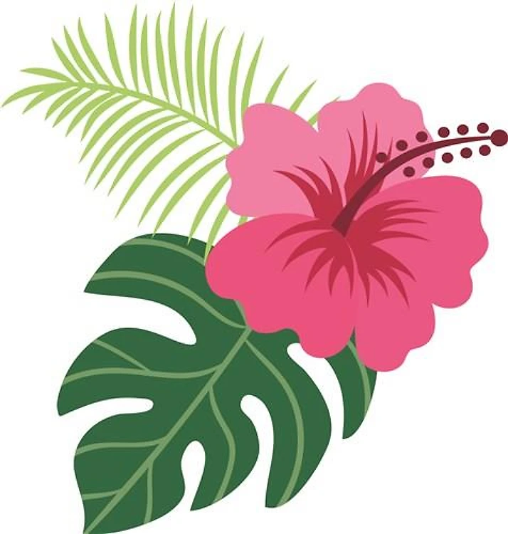 Hibiscus Bloom