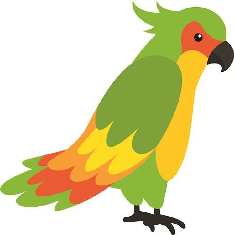 Parrot Bird