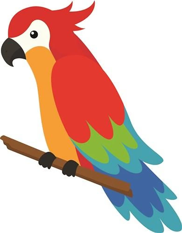 Colorful Parrot
