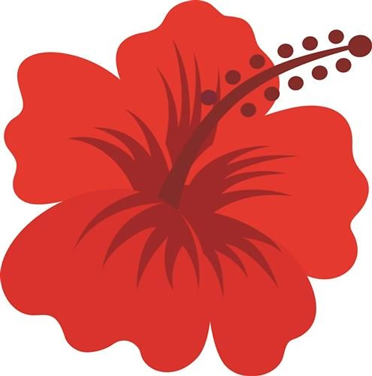 Red Hibiscus