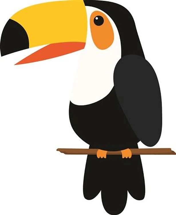 Toucan