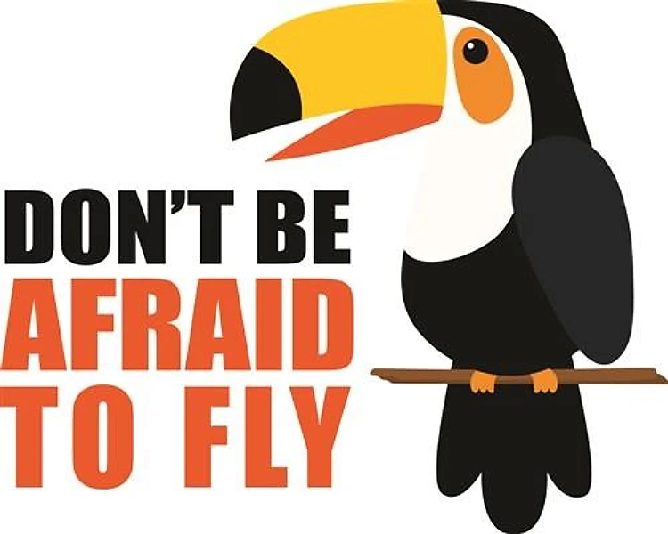 Afraid To Fly