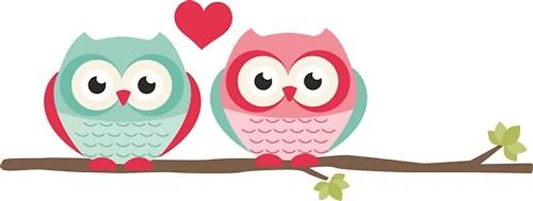 Love Owls