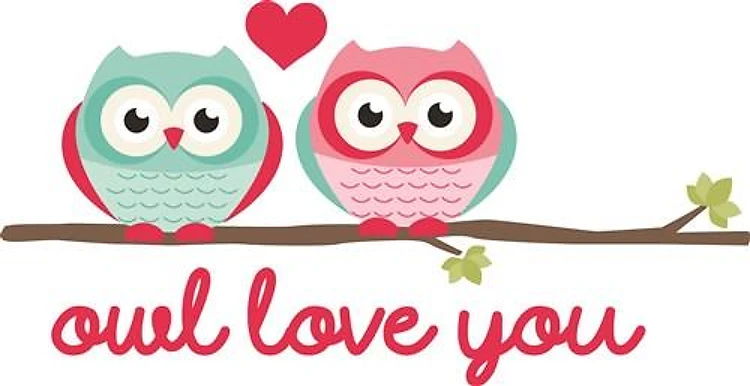Owl Love You