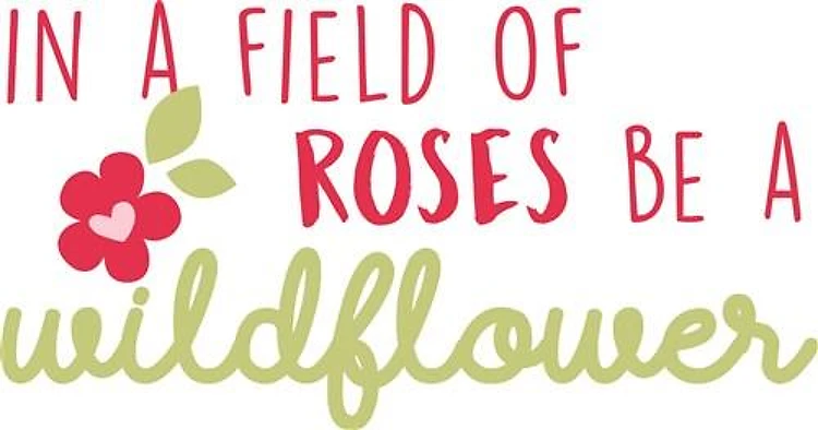 Field Of Roses