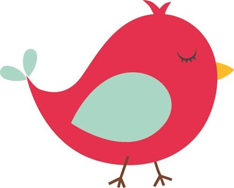 Cute Bird
