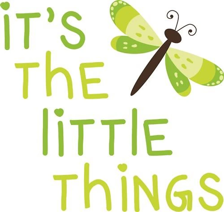 The Little Things