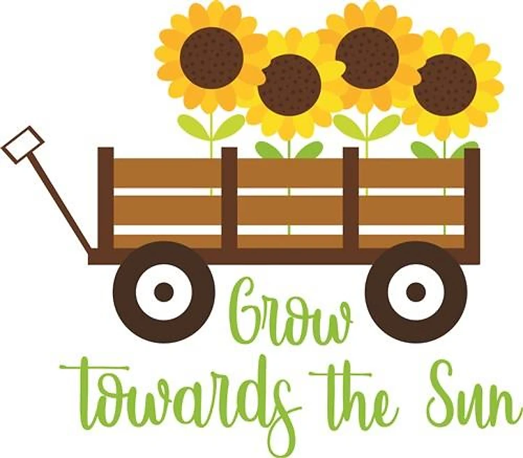 Grow Towards Sun